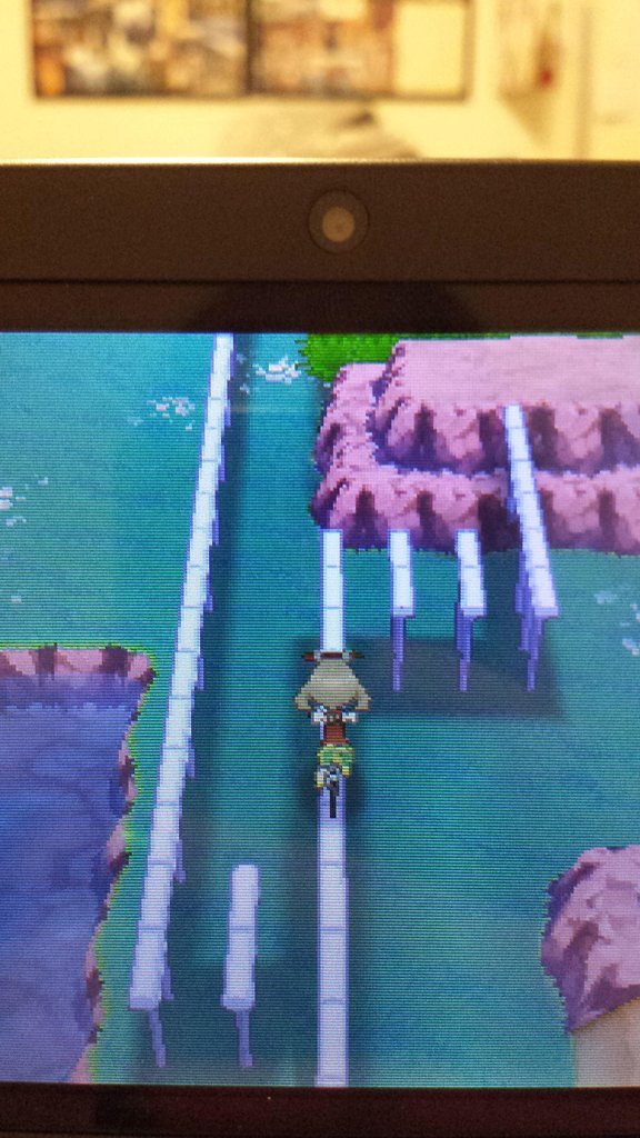 pokemonfansblog:  I feel stupid having to actually post this, but how the hell do
