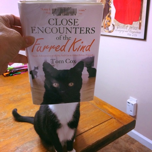 cheshirelibrary:Zoe is having a Close Encounter with this book.#caturday