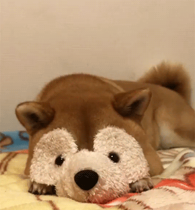 SHEEBS