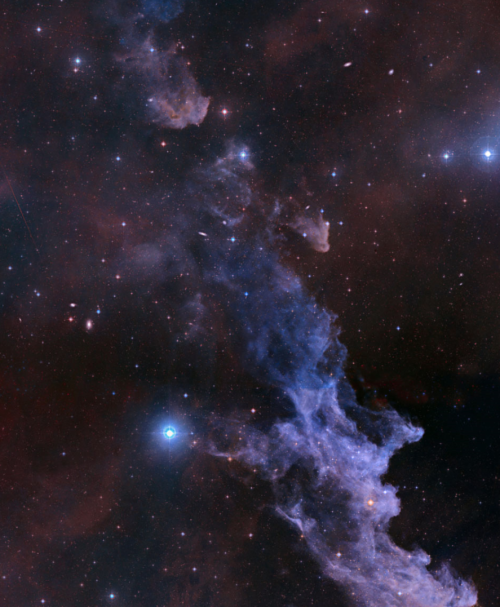 the-wolf-and-moon:IC 2118, Witch Head Nebula