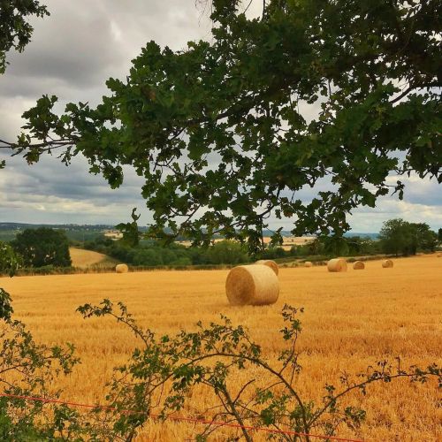 Lughnasadh is coming It’s a strange feeling these years. I used to celebrate this fire sabbat in th