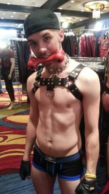 gayboykink:  kinky-verbal-dom-top:  Hehe  What pup wouldn’t be happy in a leather store? ^^