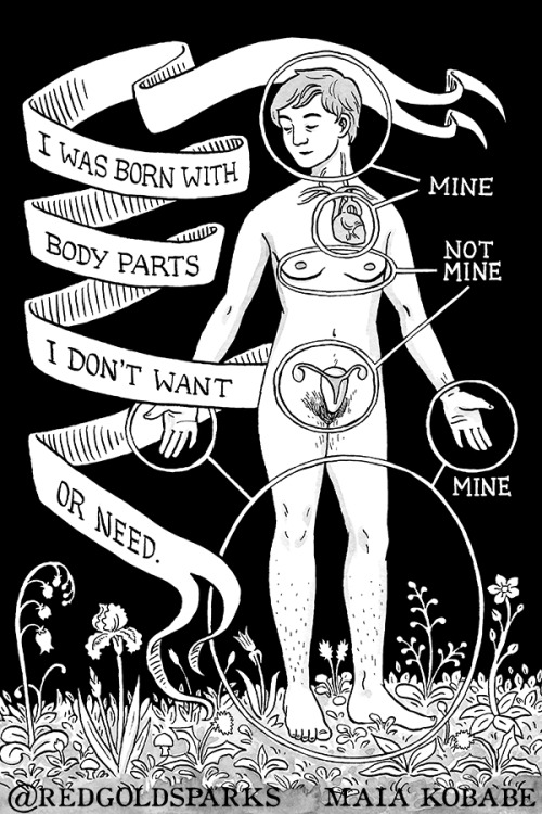 redgoldsparks: Gifts by Maia Kobabe @redgoldsparks Full text: I was born with body parts I don&rsquo