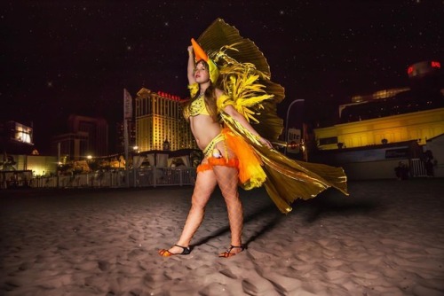 Kweh Kweh Kweh!!!! Time to party!!!! Beautiful photo on the beach by @cloudsofsand.photography #anim