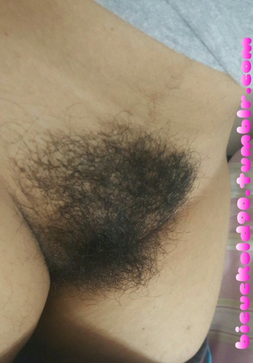 bicuckold90: Reblog if u want to fuck my wife’s hairy pussy (Personal photo) That bush made me