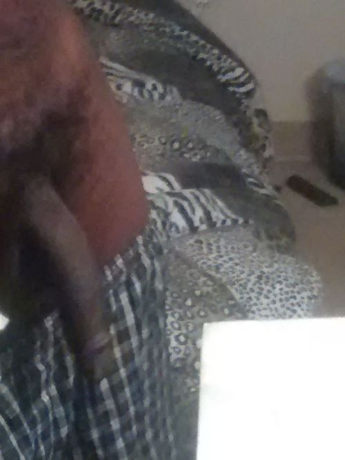http://churchofthebigblackpenis.tumblr.com/post/104354298016