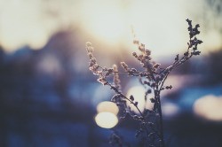 timefliestoday:  Day 347/365 by jennydasdesign on Flickr. 