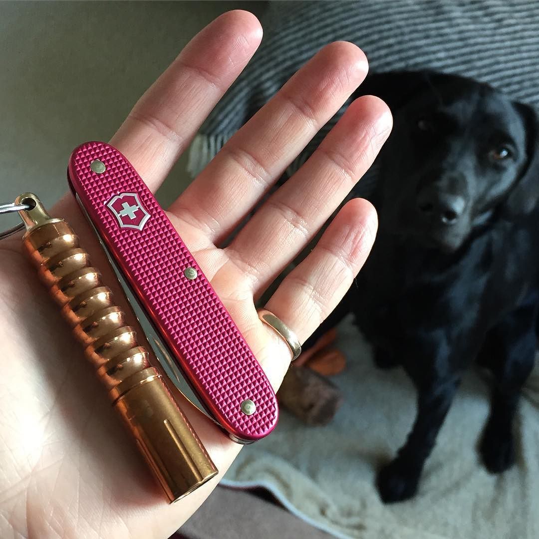 Help from the hound choosing the days EDC. #victorinox #victorinoxalox #sak #sakaddict #sakallday #SAKCollector #prometheuslights #prometheusbetaqrv2 #edc #edcgear #flashaholic #aloxaholic #alox #cato #labrador #dogsofinstagram #_everydaycarry_...