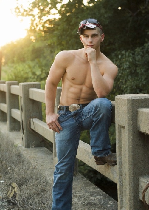 thecruelcowboy:  dippinfan:  missinginsd:  Wanna go into the bushes?  yes. yes, I do. Visit the arch