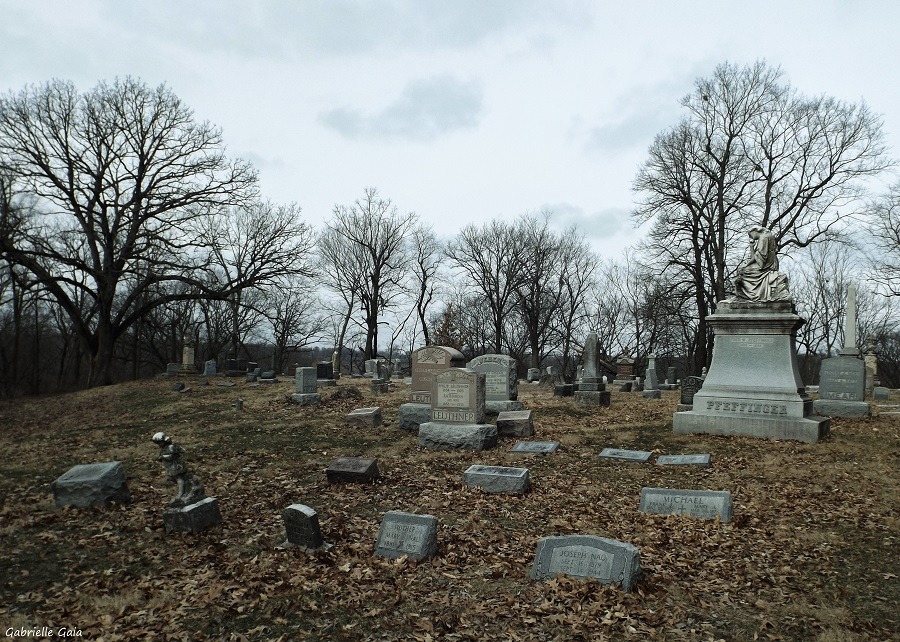 daughterofchaos:  St. Joseph’s Cemetery in West Peoria, Illinois February 5, 2016