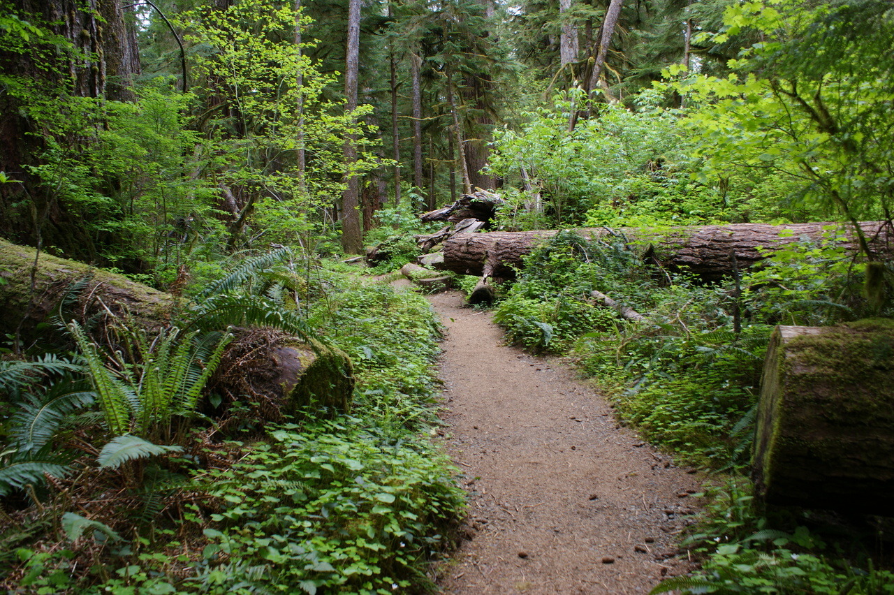 frommylimitedtravels:  Wandering in the deep…