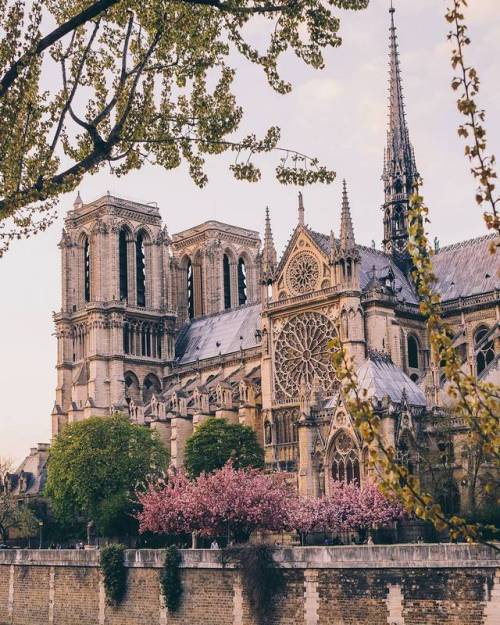 everything-thing: Cathédrale Notre-Dame de Paris by wonguy974