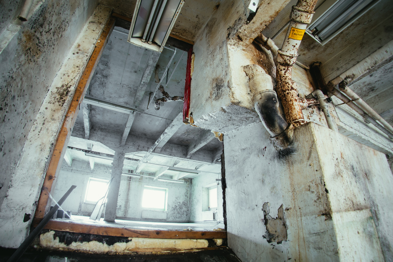 siderocks:  End of lifespan - a forgotten factory