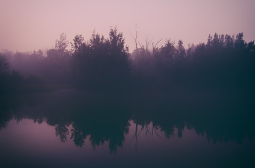 mirroredphotography: Early morning light in the fog (2) - See (1) Find me on Facebook and Instagram