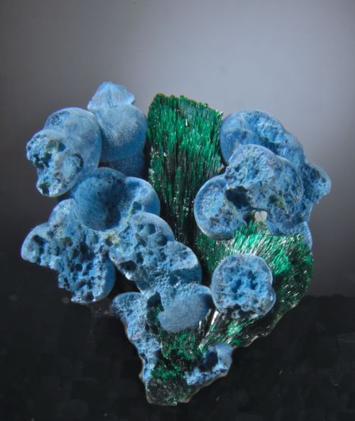 themagicfarawayttree: Shattuckite and Malachite | ©Well Arranged Molecules Kambove Mine, 400 Ft