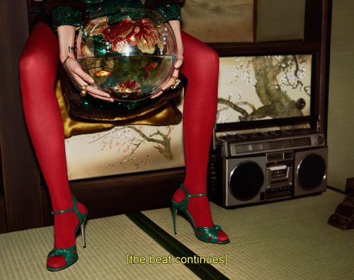 leah-cultice:Gucci Fall/Winter 2016.17 by Glen Luchford