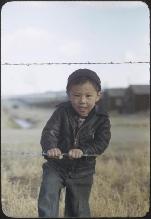 samanthabeeismyqueen:The Colors of Japanese Internment I owe my existence, in part, to Japanese inte