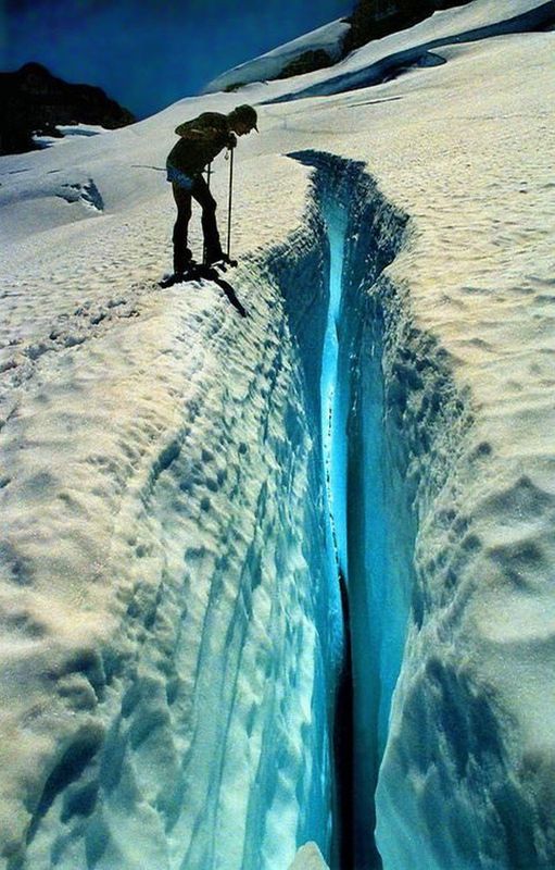 petapeta:  Жизнь любит удивлять (31 фото)