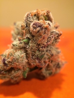 smokegreensipleanrepeat:  Girl Scout Cookies #indicaornah  Love it