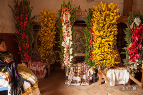 artisanos-de-michoacan:  Pescados y flores, inspiración de la vida cotidiana y sagrada…Beauty everywhere!Artesania Fernando Arroyo y familiaCalle Mariano Matamoros # 400, Capula, Michoacan, Mexicocell: 443 254 7278Photography @ Florence Leyret