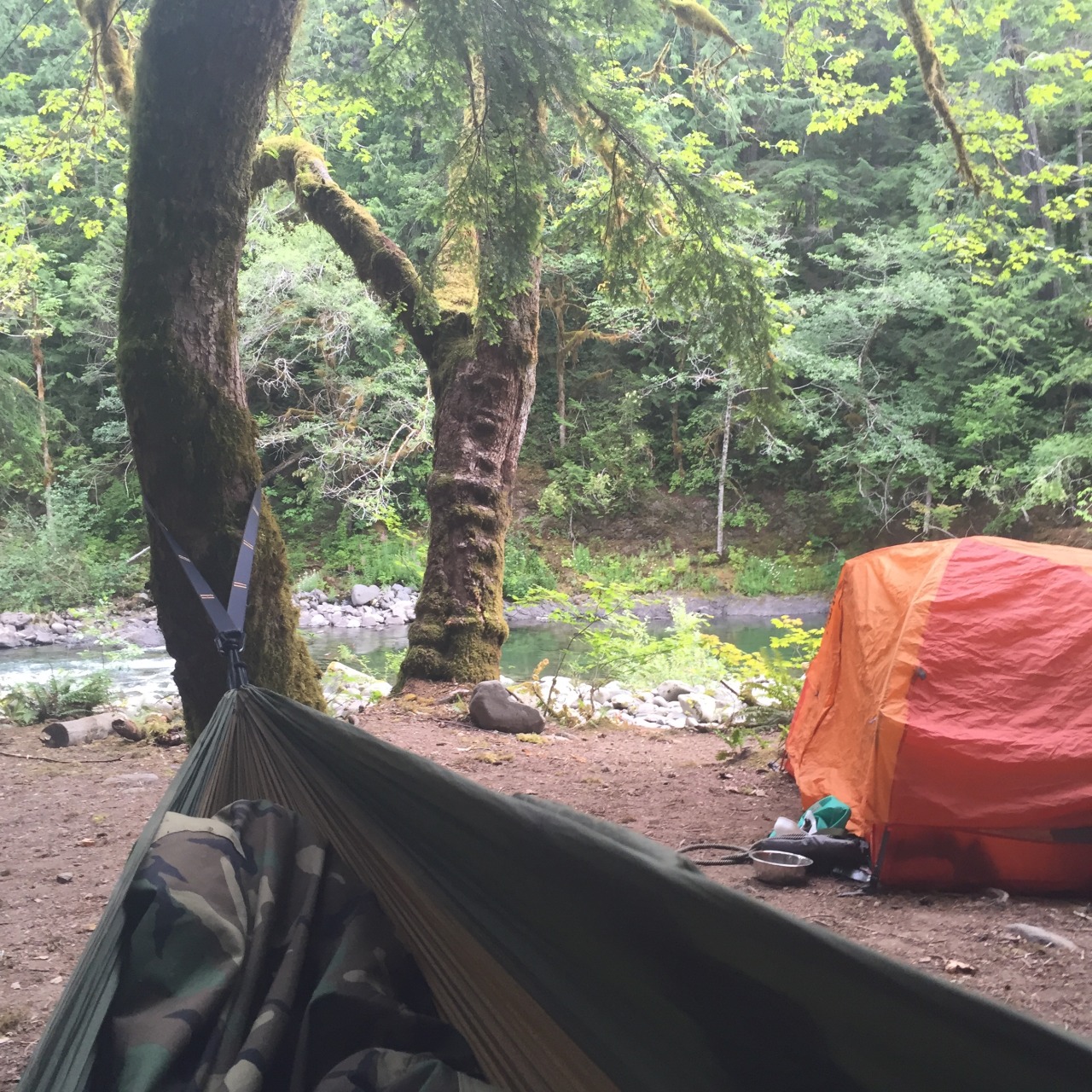 dozer09:  mossyoakmaster:  God I love living in the PNW! Mini camping adventure out