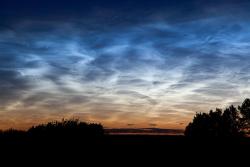 sixpenceee:  These are noctilucent clouds. They