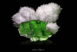 geologyin-blog:   Apophyllite crystals with scolecite from India  Photo: Andreas Schmid  