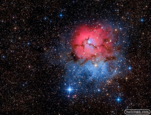 Trifid Nebula - After a three month break due to bad weather, illness and injury, it was great to ge