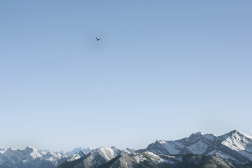 Yamnuska Mountain.Alberta, Canada. 