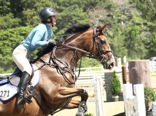 horse jumping