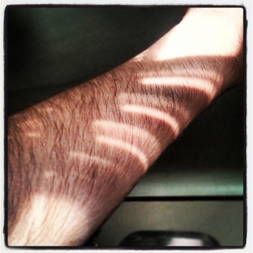 Playing with sunlight. #instafollow #gay #monsieur #sunlight #hairy #Instagay