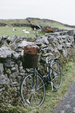 corinaesquivel:  Aran Island, Ireland