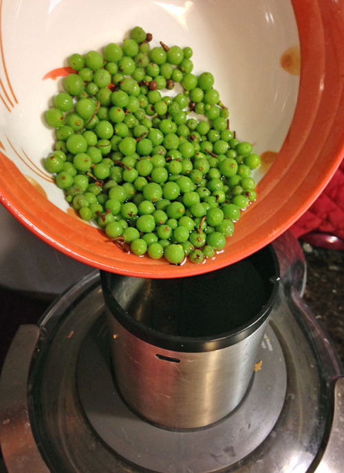 hqcreations:Secondary Edibles: Making Verjus from Grape Vine ThinningsMy MiL’s grape vines are comin