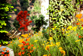 tevintery:Lake Luthias