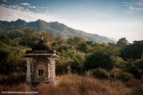 Small temple at Ranakpur, Rajasthan, photo by Michal Huniewicz  