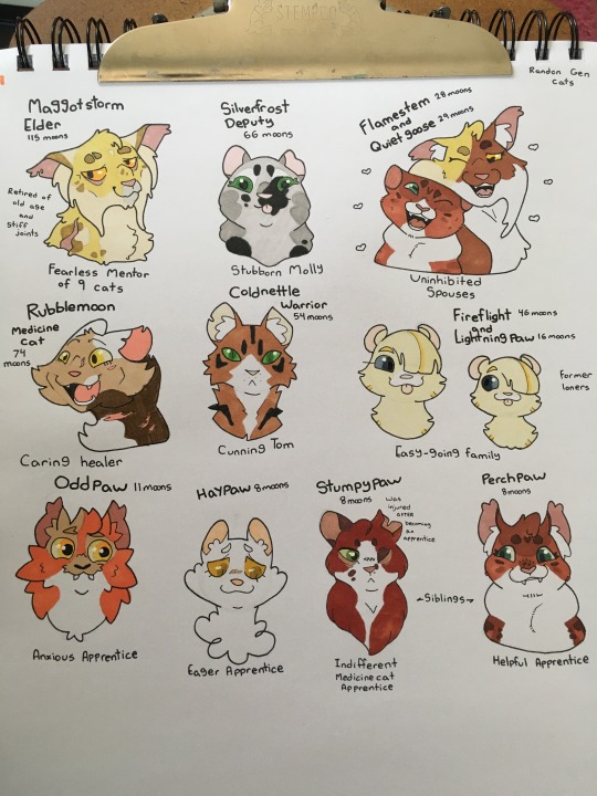 My favorite characters from Warrior Cats – by peachholic – BlogClan