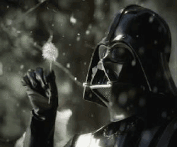 Rogue Sith Academy