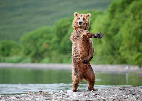 reverseracist:first let me hop out the motherfuckin Porsche