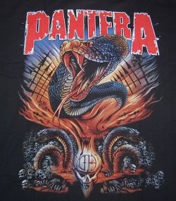 Pantera