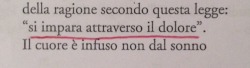 mariaileana:  &ldquo;si impara attraverso il dolore&rdquo;  (Foto mia)