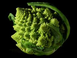 Natureisthegreatestartist:  Know What This Is? It’s Romanesco Broccoli, Also Known