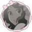 sleepyssheep