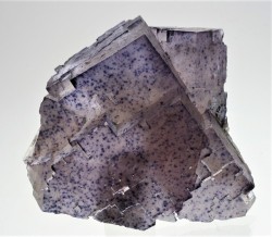 bijoux-et-mineraux:  Fluorite -  Mahoning No. 1 Mine, Cave In Rock, Illinois  