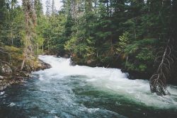 jaymegordon:  Pre Rainbow Falls, Sugar Lake, BC ➾ Jayme Gordon 