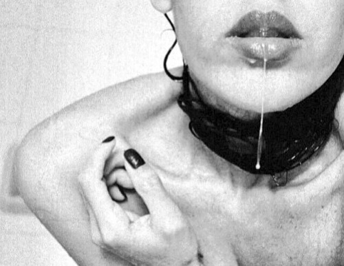 The musings of a Dom.