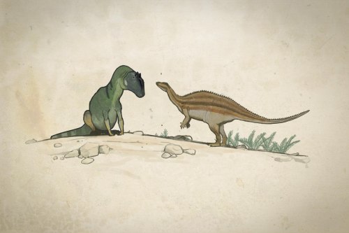 gallantcannibal:John Conway’s notably non-violent interaction between Allosaurus and Camptosaurus fr