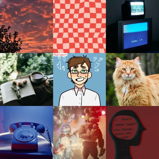 Tumblr media