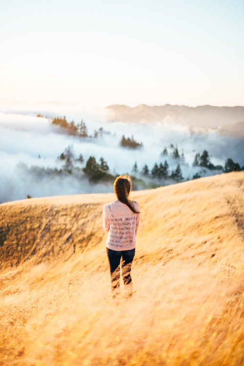 One of my favorite places in the bay area, Mount Tamalpais Photos by austinrheeInstagram: www.i