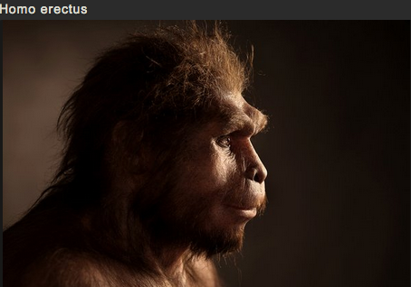 sixpenceee:  SCULPTING HUMAN EVOLUTION  Paleoartist Elisabeth Daynès is reconstructing human evolution through her sculptures. The sculptures above are in no particular order.  You can view more pictures and get more information here