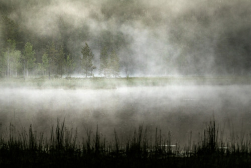 tiinatormanenphotography: Summer night at wetland. Mysterious feelings.  July, 2017, Syöte